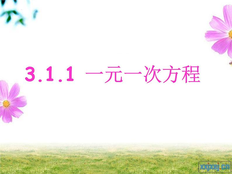 3.1.1一元一次方程　课件　 2023—2024学年人教版数学七年级上册02