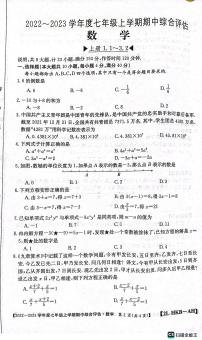 安徽省安庆市桐城市2022-2023学年上学期七年级数学期中检测卷