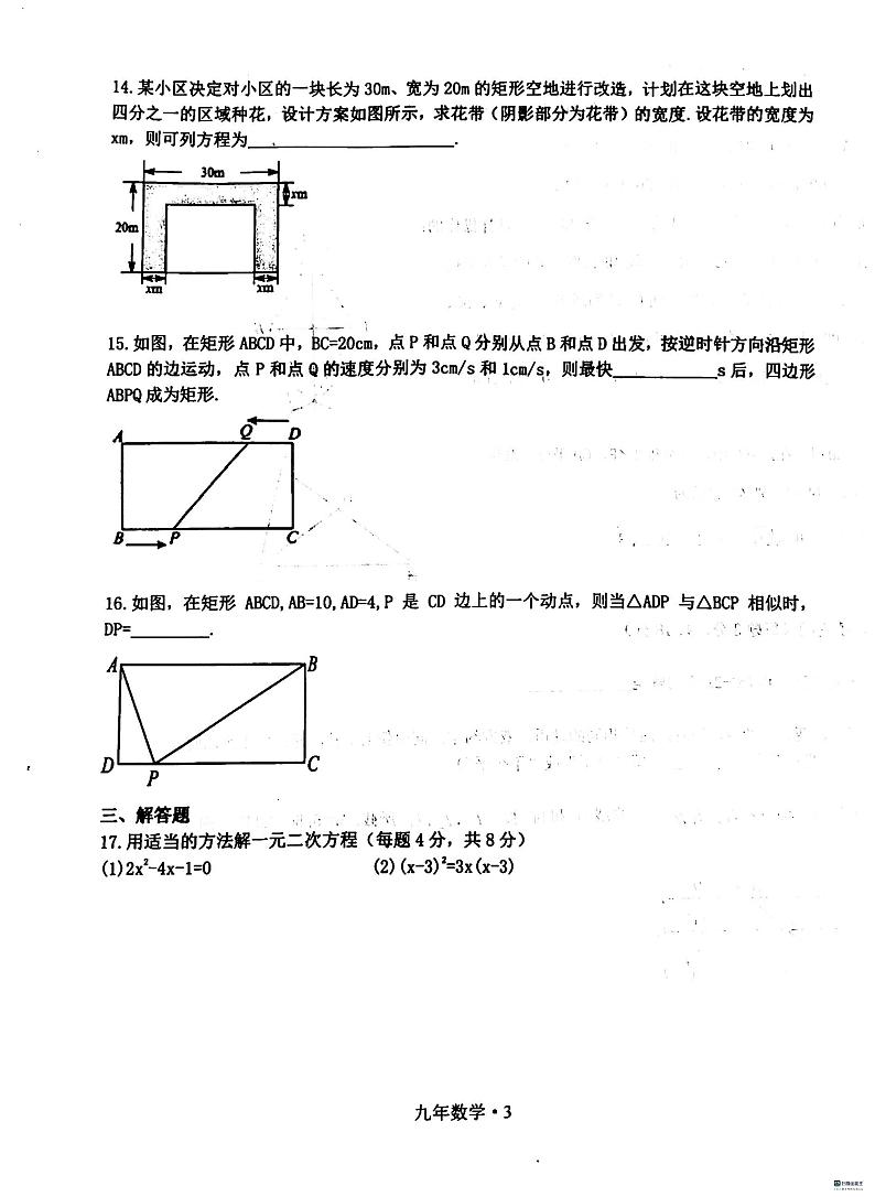辽宁省沈阳市沈北新区2023--2024学年上学期九年级期中数学试卷03