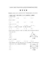 甘肃省金昌市2023年中考数学真题（含答案）