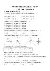 河南省信阳市淮滨县新里中学2023-2024学年九年级上学期10月月考数学试题