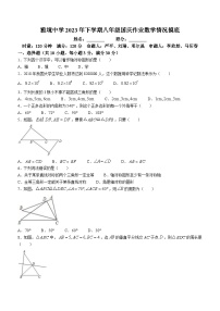 湖南省长沙市雅境中学2023-2024学年八年级上学期第一次月考数学试题