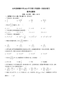 湖南省郴州市永兴县树德初级中学2023-2024学年八年级上学期月考数学试题(无答案)