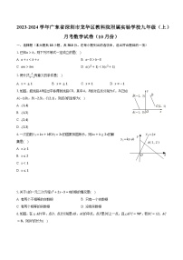 2023-2024学年广东省深圳市龙华区教科院附属实验学校九年级（上）月考数学试卷（10月份）(含解析）