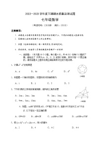 重庆市南岸区2022-2023学年七年级下学期期末质量监测数学试题