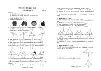 辽宁省大连市普兰店区第三十七中学2023-—2024学年上学期10月月考八年级数学试题