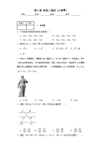 初中数学浙教版九年级上册4.3 相似三角形精品综合训练题