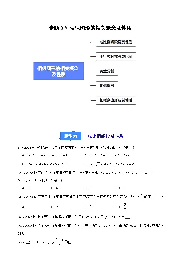【期中真题】2023-2024学年九年级数学上册 期中真题分类专题汇编 专题08 相似图形的相关概念及性质（五大题型）.zip01