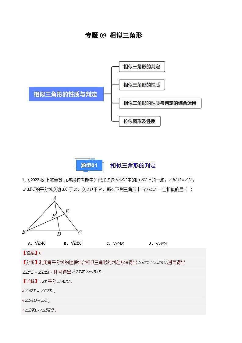 【期中真题】2023-2024学年九年级数学上册 期中真题分类专题汇编 专题09 相似三角形（四大题型）.zip01