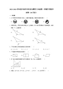 四川省泸州市龙马潭区 2023—-2024学年八年级上学期10月月考数学试题