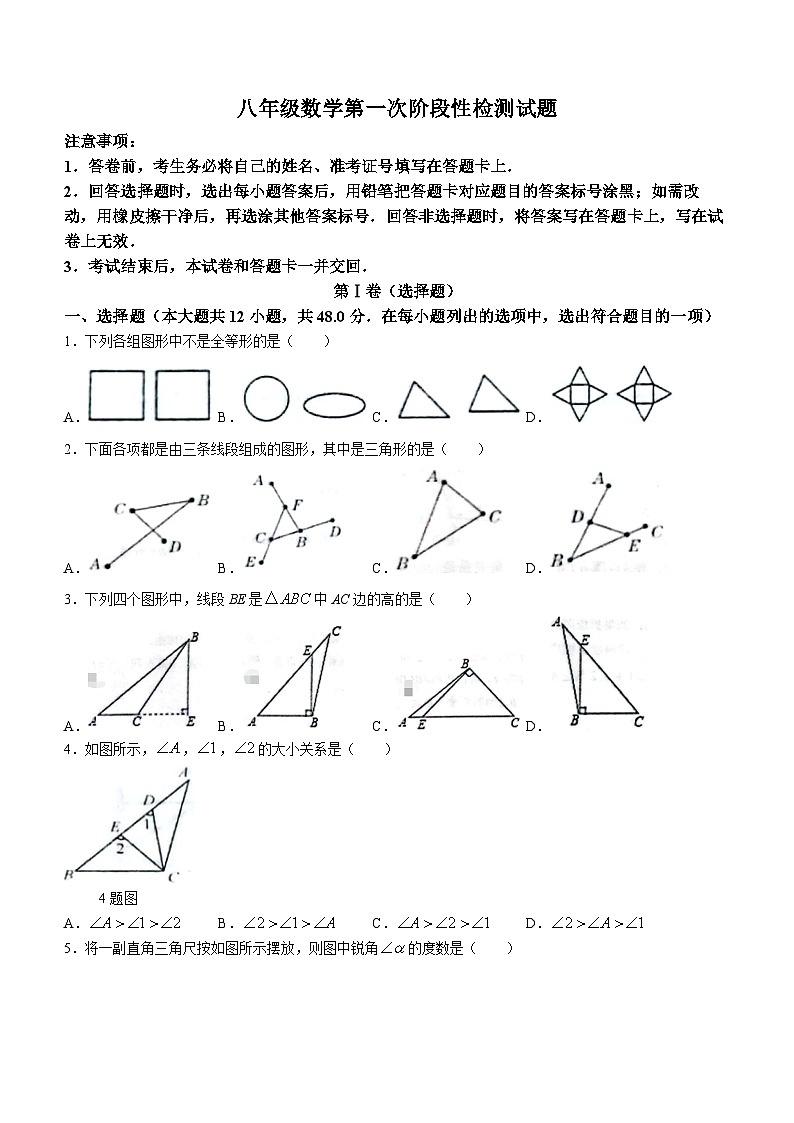 山东省德州市宁津县第四实验中学2023-2024学年八年级上学期10月月考数学试题(无答案)第1页