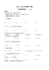 辽宁省大连市普兰店区第三十七中学2023-2024学年七年级上学期10月月考数学试题(无答案)