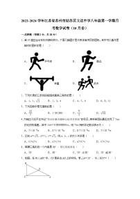 江苏省苏州市姑苏区立达中学2023-2024学年八年级上学期月考数学试卷（10月份）