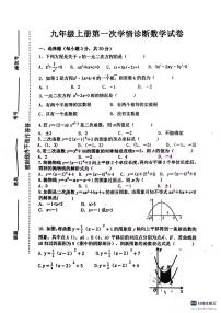 广东省惠州市惠阳中山中学2023-2024学年九年级上学期10月月考数学试题