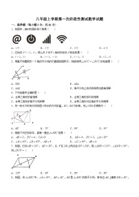 山东省滨州市邹平市梁邹实验初级中学2023-2024学年八年级上学期10月月考数学试题(无答案)