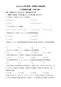 河北省邯郸市成安县2022-2023学年九年级上学期期中数学试题