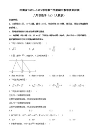 河南省商丘市豫东综合物流产业聚集区2022-2023学年八年级下学期期中数学试题