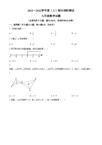 精品解析：重庆市沙坪坝区2021-2022学年九年级上学期期末数学试题