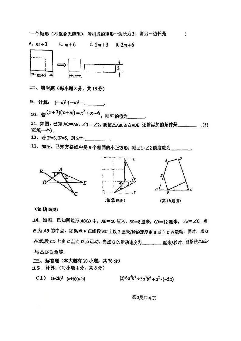 吉林省长春市经济技术开发区实验学校2023-2024学年八年级上学期期中质量监测数学试题02