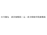 人教版七年级数学下第八章二元一次方程组小专题九　求含参数的二元一次方程组中的参数值课时训练课件PPT