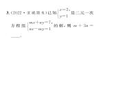 人教版七年级数学下第八章二元一次方程组小专题九　求含参数的二元一次方程组中的参数值课时训练课件PPT