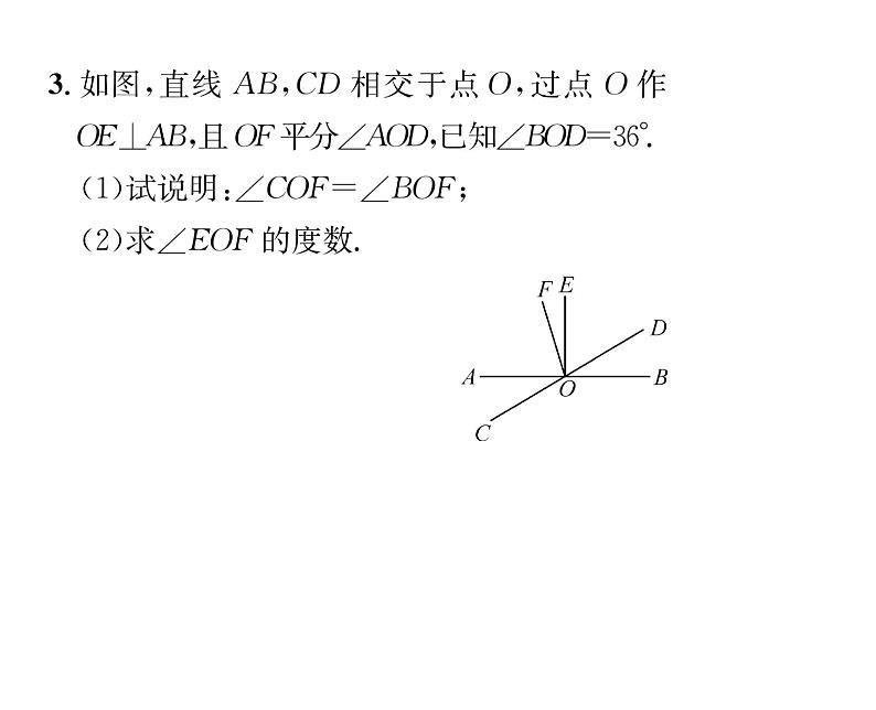 人教版七年级数学下第五章相交线与平行线专题一相交线中角度的计算与说明课时训练课件PPT第4页