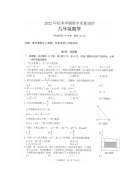 广西壮族自治区来宾市2022-2023学年九年级上学期教学质量调研数学试题