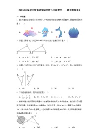 江苏省徐州市东湖实验学校2023—2024学年上学期八年级数学期中模拟卷1