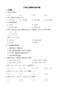 河南省南阳市2023年八年级上学期期中数学试题（附答案）