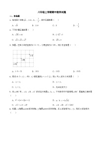 山东省济南市2023年八年级上学期期中数学试卷（附答案）