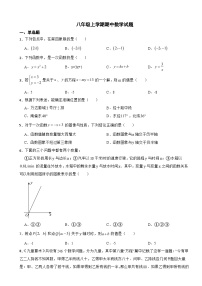 山东省济南市2023年八年级上学期期中数学试题（附答案）