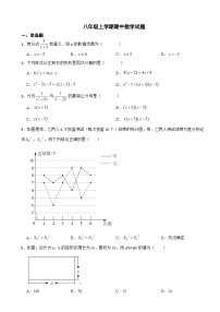 山东省淄博市2023年八年级上学期期中数学试卷（附答案）