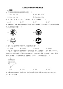 天津市滨海新区2023年八年级上学期期中考试数学试题（附答案）