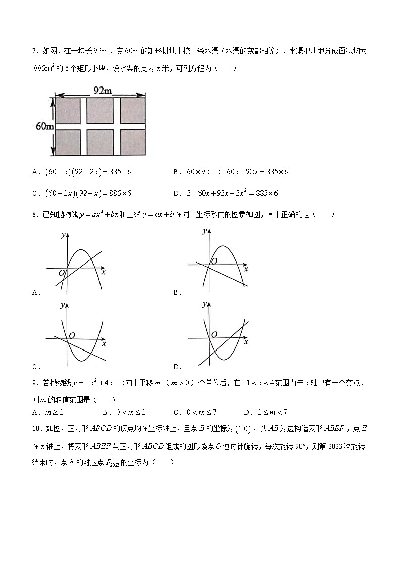 河南省安阳市五中学区2023-2024学年九年级上学期10月学情调研数学试题02