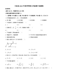 云南省昭通市巧家县2022-2023学年七年级下学期期中数学试题