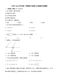 浙江省绍兴市嵊州市三界片2022-2023学年七年级下学期期中数学试题