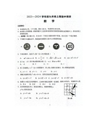 河南省周口市西华县2023-2024学年九年级上学期10月期中数学试题