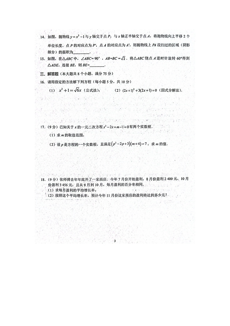 河南省周口市西华县2023-2024学年九年级上学期10月期中数学试题第3页