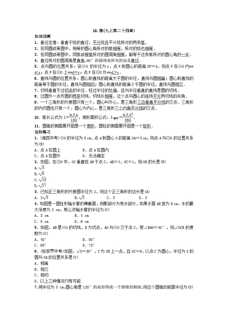 人教版九年级数学下册练习：自主复习18.圆第1页