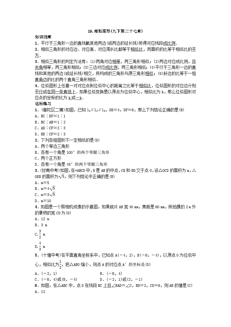 人教版九年级数学下册练习：自主复习19.相似图形第1页