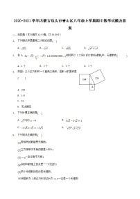 2020-2021学年内蒙古包头市青山区八年级上学期期中数学试题及答案