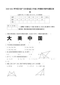 2020-2021学年四川省广安市岳池县八年级上学期期中数学试题及答案