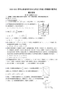 2020-2021学年山东省枣庄市台儿庄区八年级上学期期中数学试题及答案