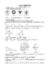 八年级上册数学期中试卷