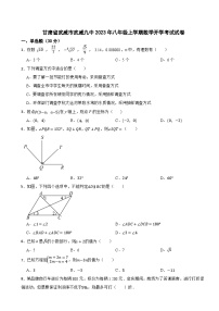 甘肃省武威市武威九中2023年八年级上学期数学开学考试试卷