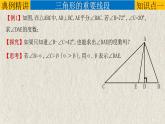 中考数学一轮复习精品课件专题4.2 三角形（含答案）