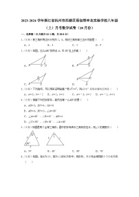 浙江省杭州市西湖区保俶塔申花实验学校2023-2024学年八年级上学期月考数学试卷（10月份）