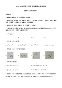 安徽省宿州市砀山铁路中学2022-2023学年七年级下学期期中数学试题