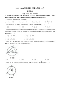 江苏省宿迁市沭阳县2023-2024学年九年级上学期10月月考数学试题