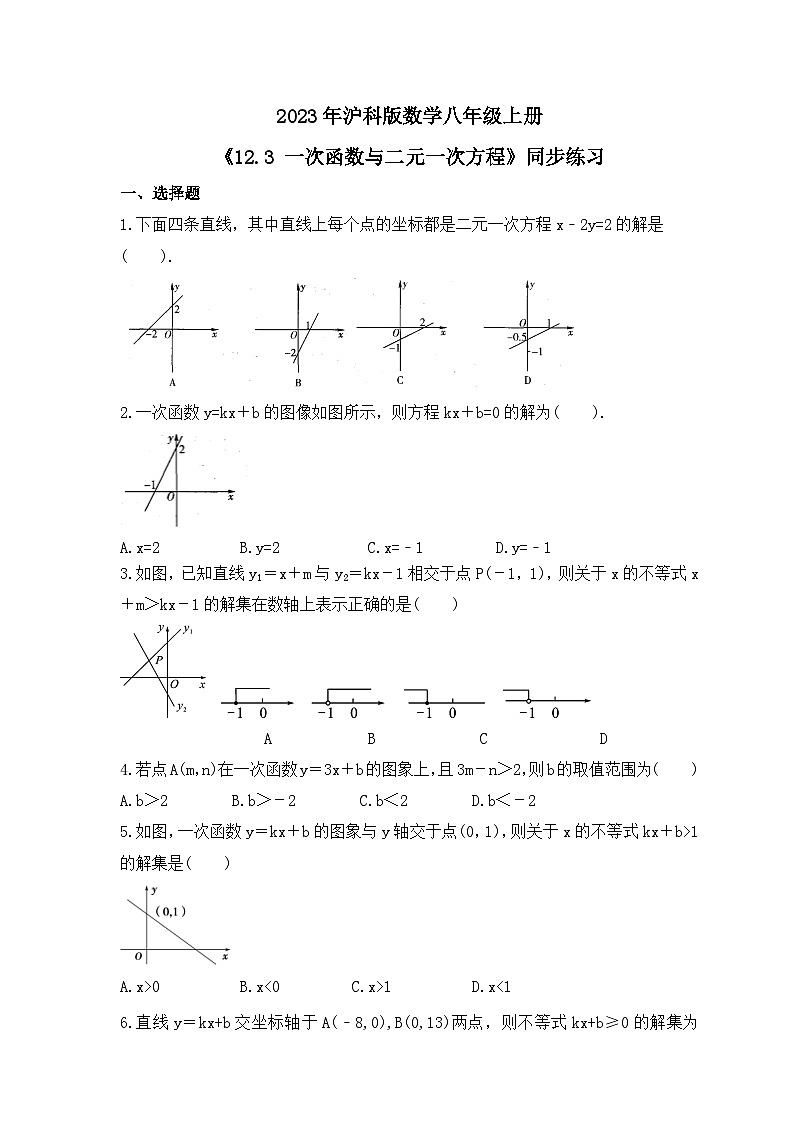 2023年沪科版数学八年级上册《12.3 一次函数与二元一次方程》同步练习（含答案）01
